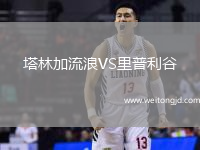 塔林加流浪VS里普利谷
