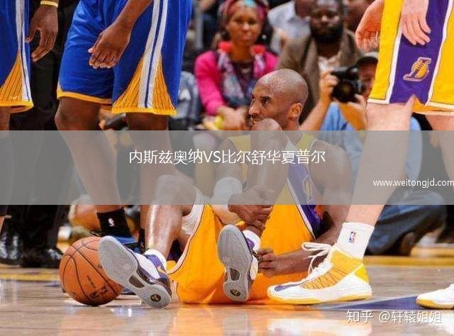 內斯茲奧納VS比爾舒華夏普爾