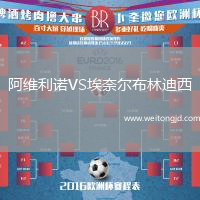 阿維利諾VS埃奈爾布林迪西