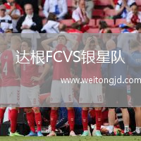 達根FCVS銀星隊