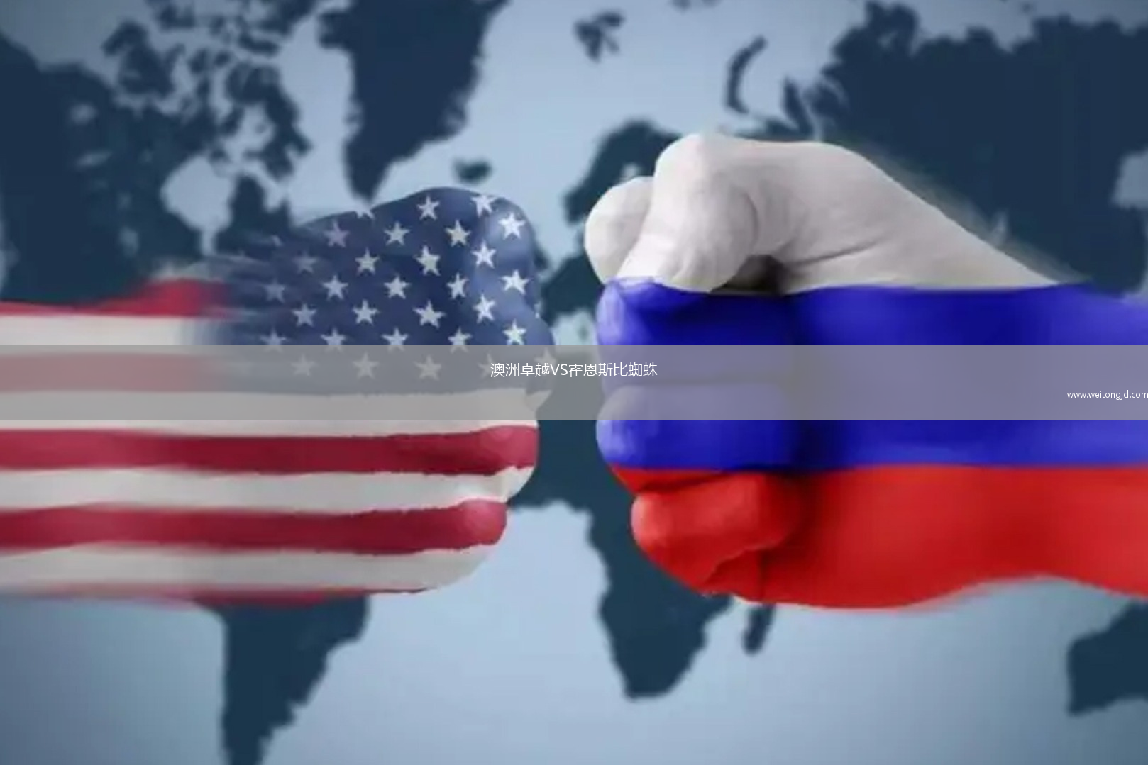 澳洲卓越VS霍恩斯比蜘蛛
