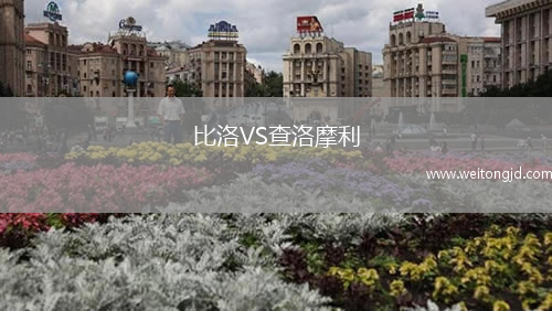 比洛VS查洛摩利