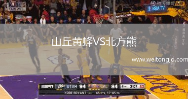 山丘黃蜂VS北方熊