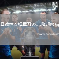 桑德林漢姆軍刀VS吉隆超級貓