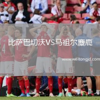 比薩巴切沃VS馬祖爾麋鹿
