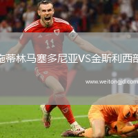 施蒂林馬塞多尼亞VS金斯利西部