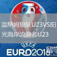 溫納姆狼隊U23VS陽光海岸流浪者U23