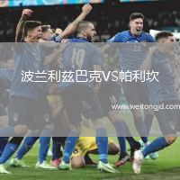 波蘭利茲巴克VS帕利坎