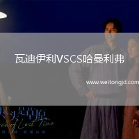 瓦迪伊利VSCS哈曼利弗