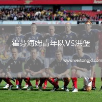 霍芬海姆青年隊VS洪堡