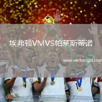 埃弗頓VMVS帕萊斯蒂諾