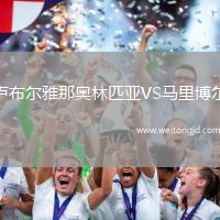 盧布爾雅那奧林匹亞VS馬里博爾