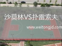 沙莫林VS撲雷索夫