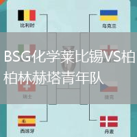 BSG化學萊比錫VS柏林赫塔青年隊