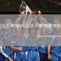 SV不萊梅VS云達(dá)不萊梅青年隊(duì)