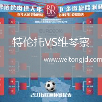 特倫托VS維琴察
