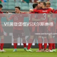 Vfl奧登堡格VS沃爾斯費德