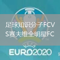 足球知識分子FCVS賽夫維全明星FC