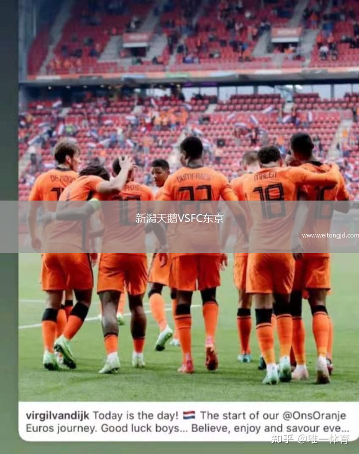新潟天鵝VSFC東京