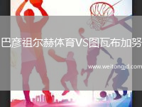 巴彥祖爾赫體育VS圖瓦布加努