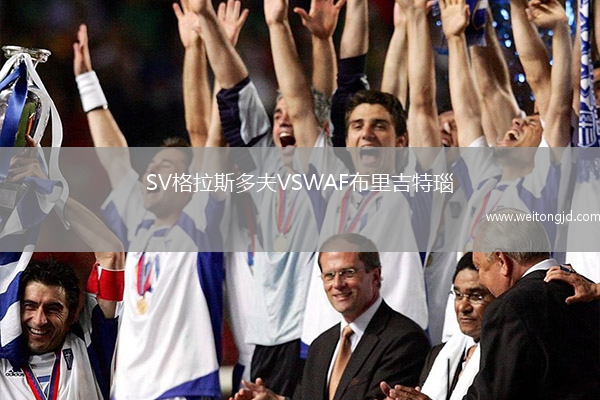 SV格拉斯多夫VSWAF布里吉特瑙