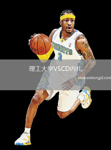 理工大學VSCD內扎