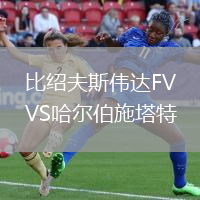 比紹夫斯偉達(dá)FVVS哈爾伯施塔特