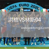 洪格VS林斯04