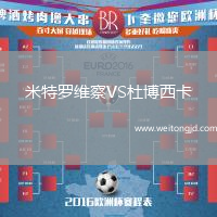 米特羅維察VS杜博西卡