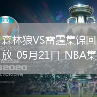 05月21日NBA西部決賽G1 森林狼 - 雷霆 精彩鏡頭