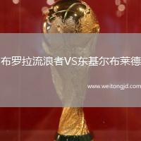 布羅拉流浪者VS東基爾布萊德