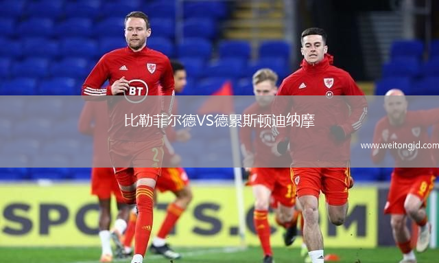 比勒菲爾德VS德累斯頓迪納摩