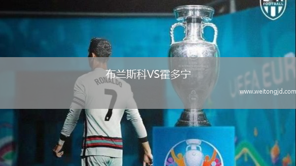 布蘭斯科VS霍多寧