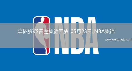 05月23日NBA西部決賽G2 森林狼 - 雷霆 精彩鏡頭