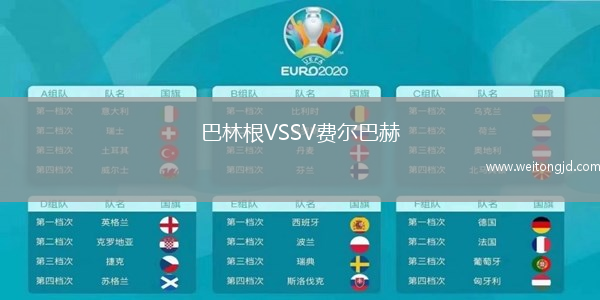 巴林根VSSV費爾巴赫