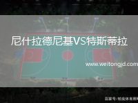 尼什拉德尼基VS特斯蒂拉