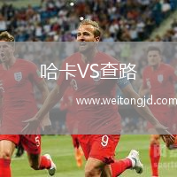 哈卡VS查路