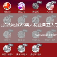 瓦加城流浪VS澳大利亞國立大學(xué)