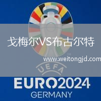 戈梅爾VS布古爾特