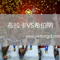 布拉卡VS希伯納