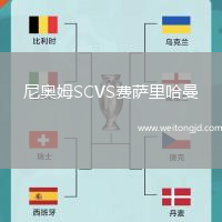 尼奧姆SCVS費薩里哈曼