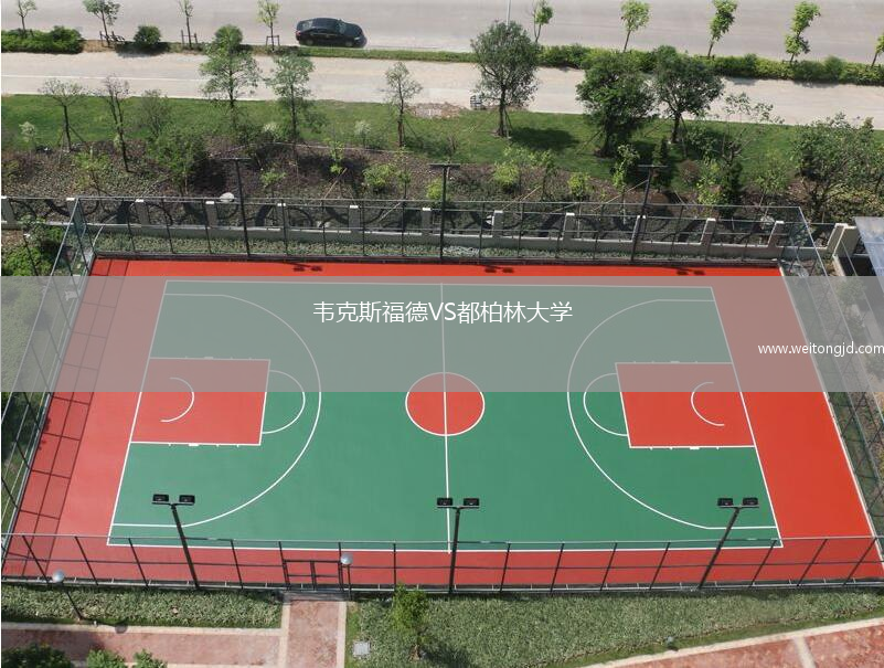 韋克斯福德VS都柏林大學