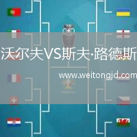 沃爾夫VS斯夫·路德斯