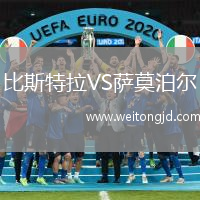 比斯特拉VS薩莫泊爾