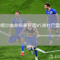 錫爾維奧佩蒂羅西VS奧杜巴雷