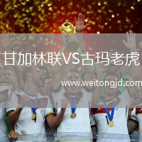 甘加林聯VS古瑪老虎