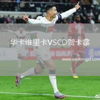 華卡維里卡VSCD賀卡拿