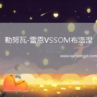 勒努瓦-雷恩VSSOM布洛涅