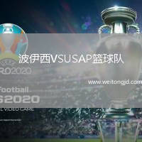 波伊西VSUSAP籃球隊
