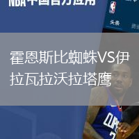 霍恩斯比蜘蛛VS伊拉瓦拉沃拉塔鷹
